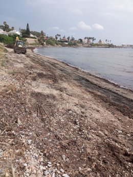 Recogida de alga invasora en la playa de El Chinarral en Algeciras.
