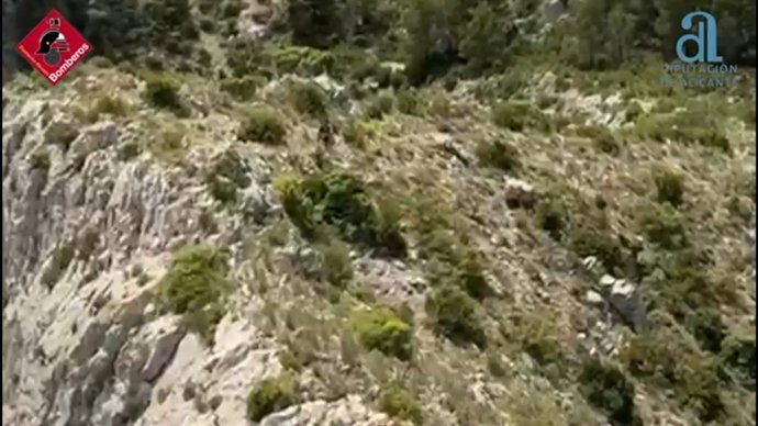 Vídeo de la noticia