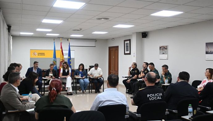La directora general de Protección Civil y Emergencias, Virginia Barcones, en la reunión del Comité Territorial de Coordinación, Ordenación y Dirección de la OPE 2025.