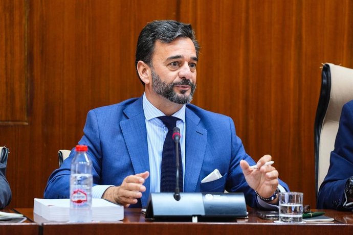 Archivo - El presidente de la Cámara de Cuentas de Andalucía, Manuel Alejandro Cardenete, en una fotografía de archivo de una comparecencia en comisión. 