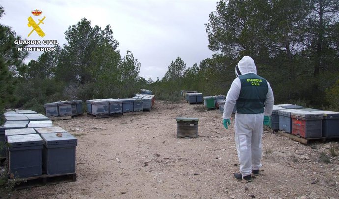 Guardia Civil de Albacete detiene a una persona por el hurto de cajas de colmenas apícolas.