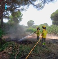 Efectivos del Infoca siguen con las tareas de extinción por el incendio declarado el lunes en Puerto Real (Cádiz)