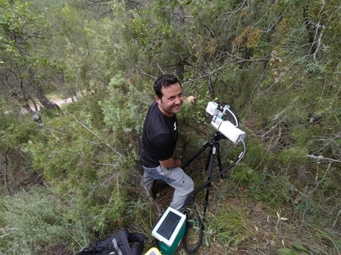Imagen de la investigación llevada a cabo sobre el uso del agua por parte de las plantas en ecosistemas mediterráneos.