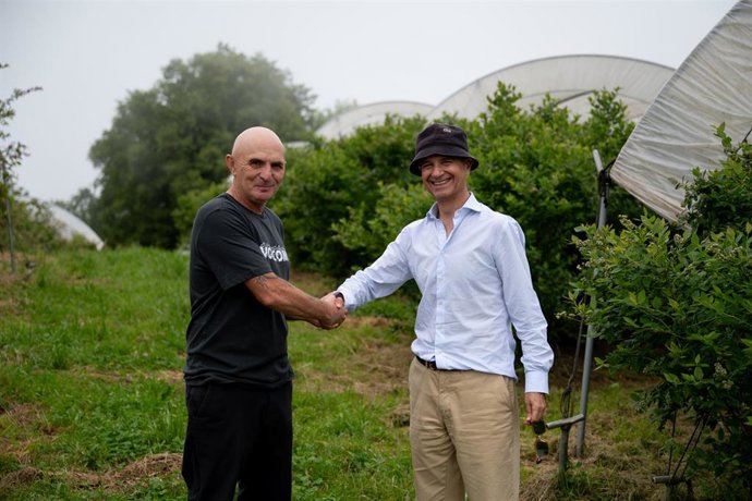 Arándanos La Peña.