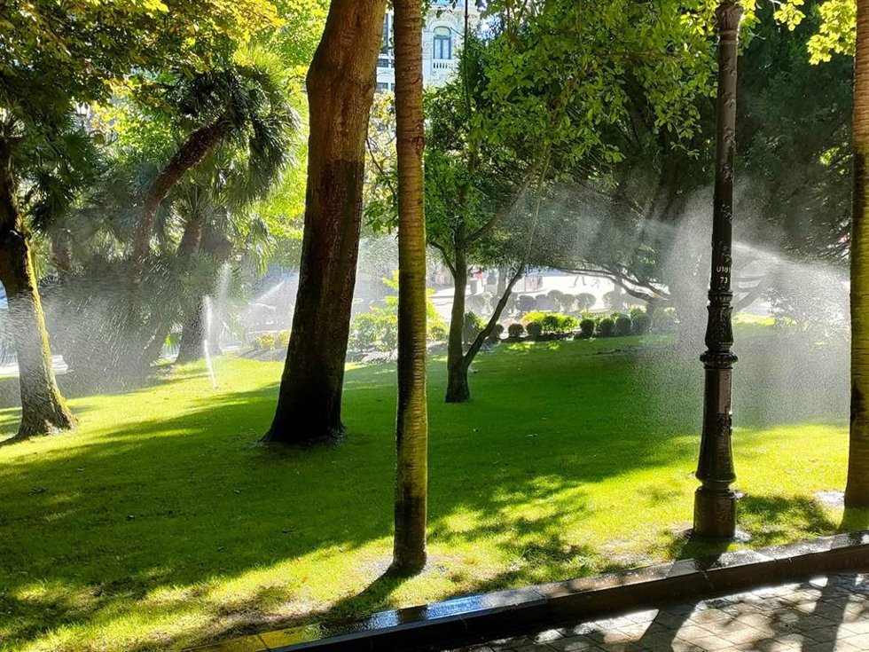 Archivo - Campo San Francisco.