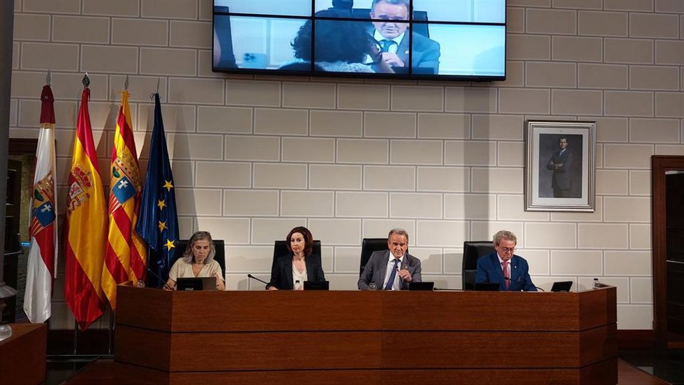 Pleno de la Diputación Provincial de Zaragoza (DPZ).