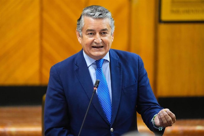 El consejero de la Presidencia, Interior, Diálogo Social y Simplificación Administrativa, Antonio Sanz, en el Pleno del Parlamento andaluz.
