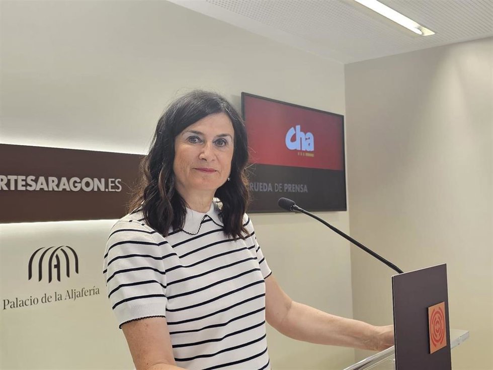 La portavoz de CHA en la Comisión de Sanidad de las Cortes de Aragón, Isabel Lasobras.