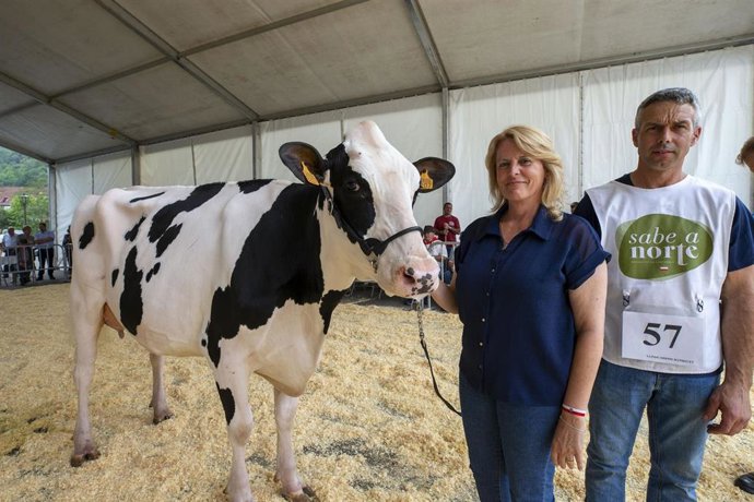 La consejera de Ganadería, María Jesús Susinos, con un ejemplar participante en el XXXVII Concurso Exposición de Ganado Vacuno Frisón de San Bernabé, en Treceño (Valdáliga)