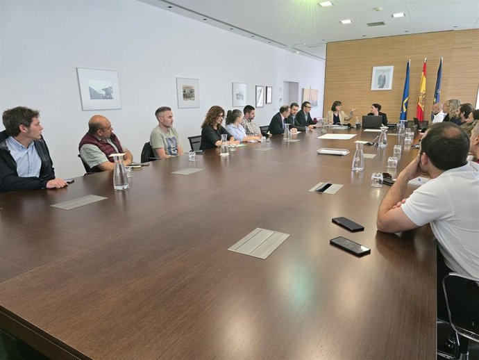 Reunión de la mesa de trabajo con las empresas de manejo de graneles sólidos, constituida por la Autoridad Portuaria de Gijón.