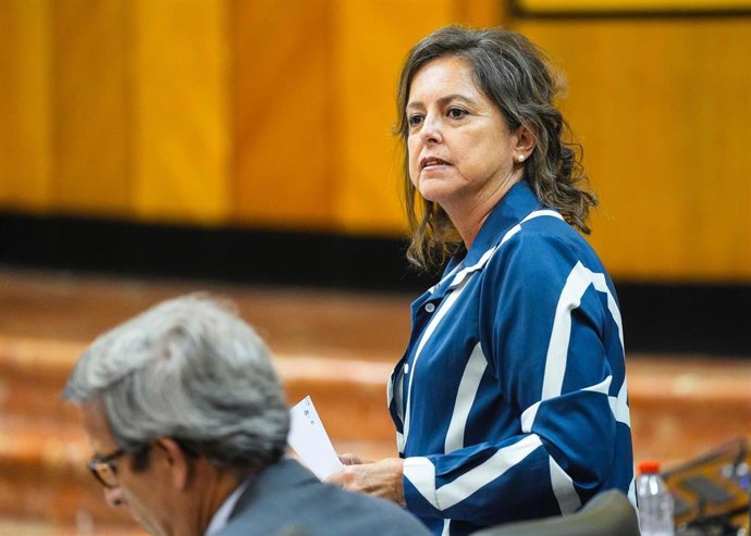 La consejera de Sostenibilidad y Medio Ambiente, Catalina García, durante la sesión de control en el Pleno del Parlamento.