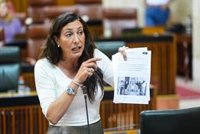 La Junta pide al PSOE que exija a Montero "igualdad" en financiación de dependencia y la oposición denuncia "el colapso"