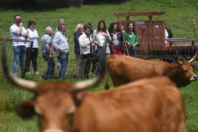 La conselleira do Medio Rural, María José Gómez, visita una explotación ganadera en Val do Dubra, a 11 de junio de 2025.