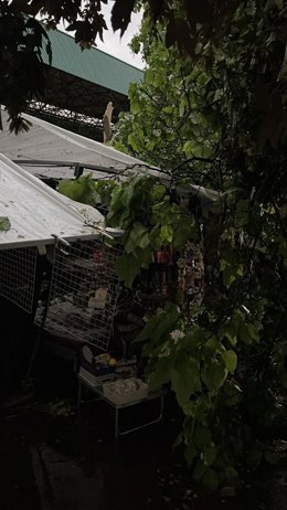 Incidencia por la tormenta