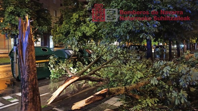 Imagen de un árbol partido por la tormenta