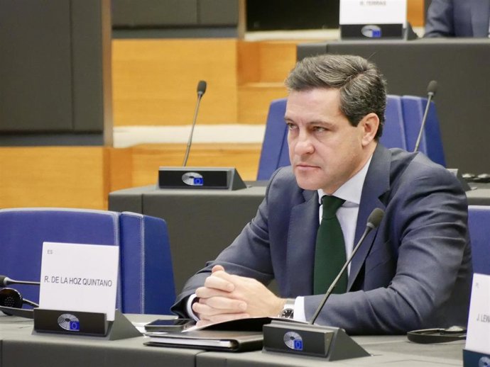El eurodiputado del PP Raúl de la Hoz en una imagen de archivo