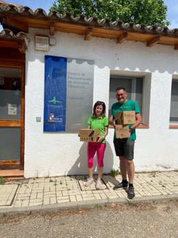 Nacen dos crías de búho real en el parque de La Era de las Aves de Fresno Viejo