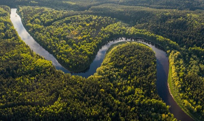 El establecimiento de una línea de base para el mercurio ribereño durante la era preindustrial puede servir como un punto de referencia clave