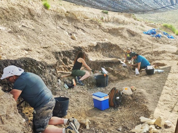 Campaña de excavación que se está llevando a cabo en el yacimiento de mamíferos Las Casiones en Villalba Baja.