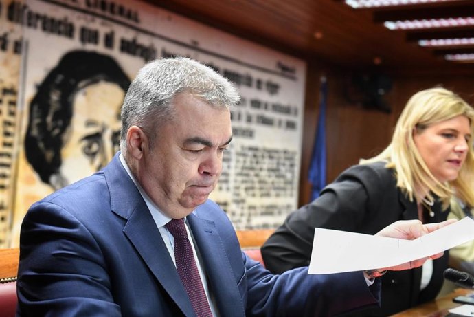 Archivo - El diputado y secretario de Organización del PSOE, Santos Cerdán.