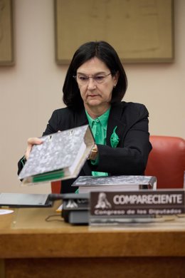 Archivo - La presidenta de la Comisión Nacional de los Mercados y Competencia (CNMC), Cani Fernández