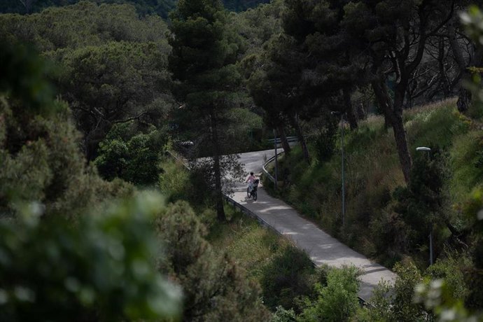 Dos personas pasean en el Parc Natural de la Serra de Collserola