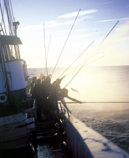 Pesca del bonito