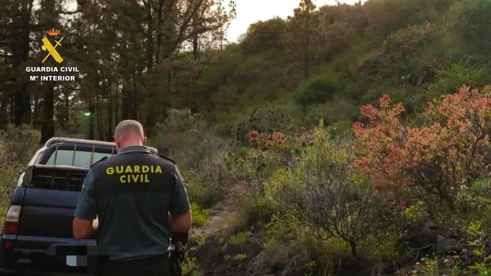Suc.- La Guardia Civil sorprende en La Palma a dos cazadores furtivos en época de veda con 16 perros de caza