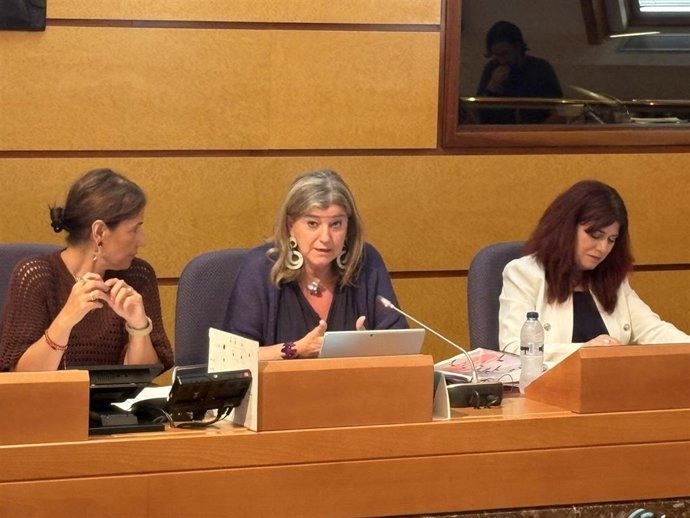 Comparecencia en las Juntas Generales de Bizkaia para presentar el nuevo plan de empleo de la Diputación de la diputada Teresa Laespada.