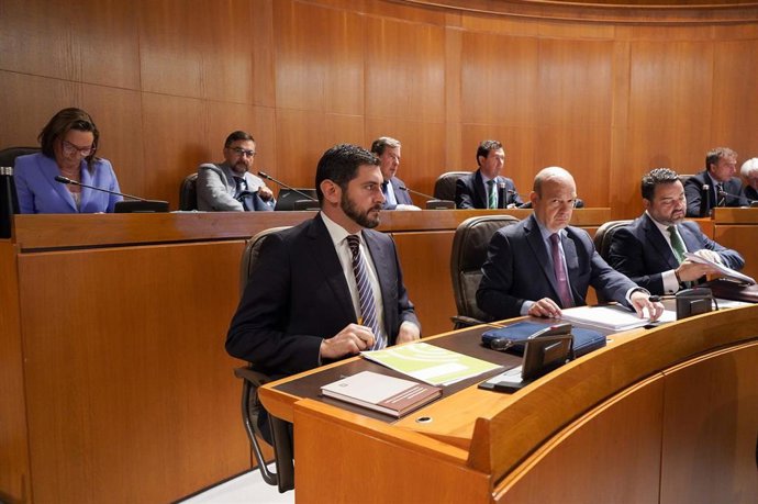 El portavoz de Vox en las Cortes de Aragón, Alejandro Nolasco.