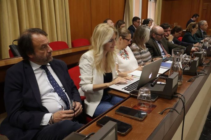 Bancada del PP en el Ayuntamiento de Córdoba, con Daniel García-Ibarrola y Lourdes Morales (al frente), quien ha comparecido para analizar la gestión de Modernización Digital.