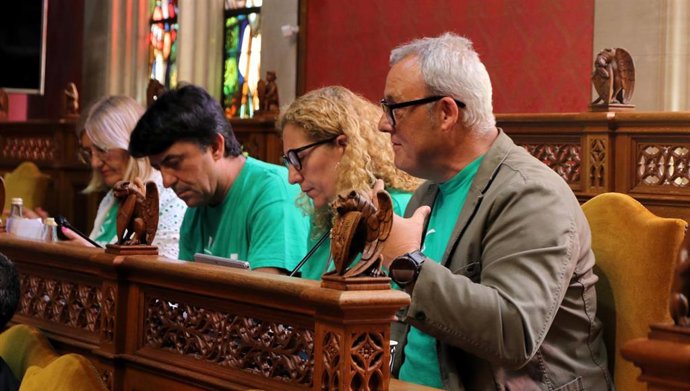 El portavoz de MÉS per Mallorca en el Consell de Mallorca, Jaume Alzamora, interviene en el pleno.