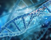 Foto: Identifican cómo las células desenredan estructuras del ADN que pueden causar cáncer