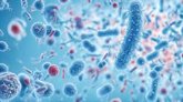 Foto: Cuando las bacterias tienen hambre matan a sus vecinas y se las comen