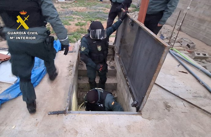 Archivo - La Guardia Civil de Albacete desmantela tres centros de producción y germinación de cannabis sativa compuestos por 800 plantas.