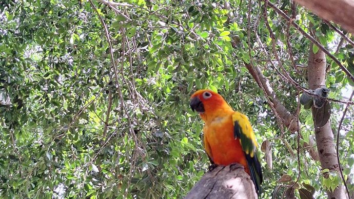Vídeo de la noticia