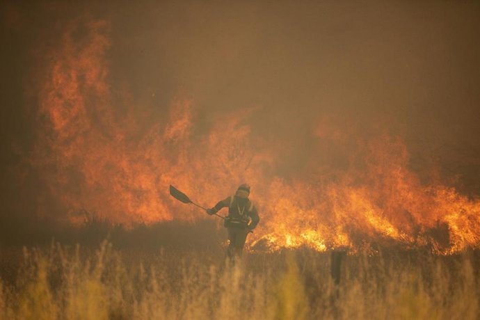 Archivo - EP- Selección fotos  2022: Efectivos de bomberos durante el incendio de la Sierra de la Culebra, a 18 de junio de 2022, en Zamora, Castilla y León (España). 
