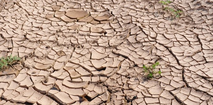 La decisión ha sido tomada tras no recibir respuesta por parte del Ministerio, transcurrido el plazo de un mes establecido legalmente para responder al requerimiento.