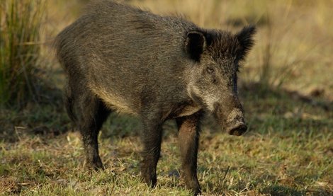 Es Andalucía - Cádiz