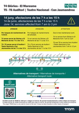 Obres de manteniment de l'arbrat aquest dissabte