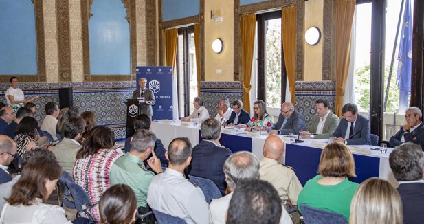 Córdoba única