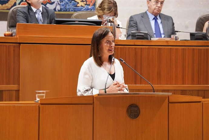 La consejera de Bienestar Social y Familia del Gobierno de Aragón, Carmen Susín.