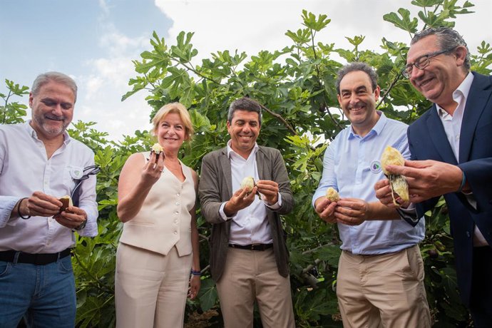 Imagen del Corte de la Breva en Albatera (Alicante)