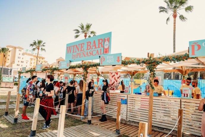 Peñascal en festivales de música