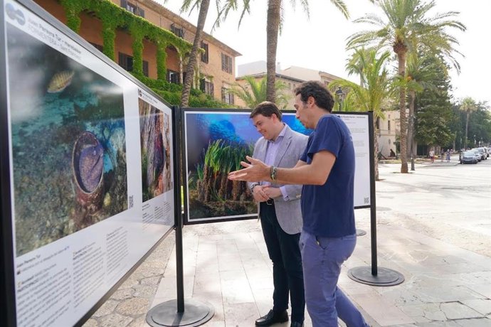 La exposición 'La Veu de la Mar', de 32 imágenes del fondo marino balear, se puede ver en Palma hasta el 30 de junio