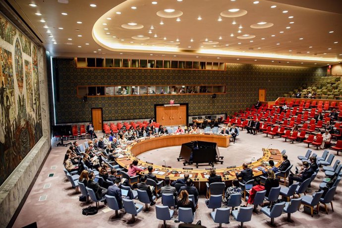 Archivo - 28 April 2025, US, New York: A general view of the United Nations Security Council meeting. Photo: Bianca Otero/ZUMA Press Wire/dpa