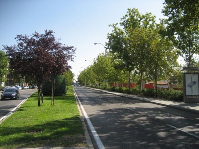 Archivo - Madrid constituirá mañana la Mesa del Barrio del Aeropuerto para dar una solución a las inundaciones por lluvias