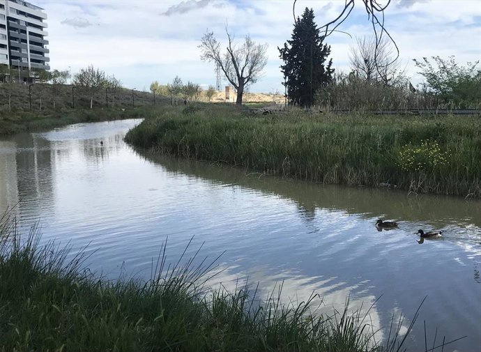 Sector suroeste sobre el Canal Imperial de Aragón y Cataluña.