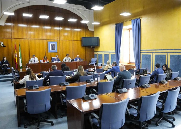 Vista general de la comisión de Desarrollo Educativo y Formación Profesional del Parlamento andaluz.