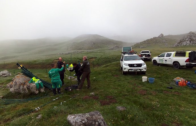 Steps for LIFE y la cuadrilla forestal de Montes han trabajado en la instalación de vallados temporales para conservar los humedales en Áliva